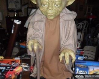 Yoda has been reduced and really needs a new home!