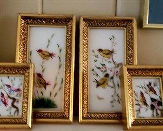 Framed birds