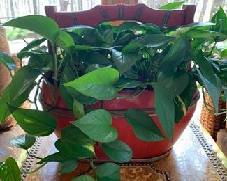 6. Red Asian Water Bucket w/ Philodendron (15" x 16")