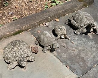 Cement Turtles