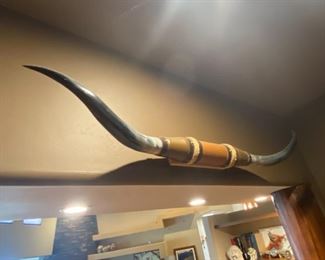 mounted long horns