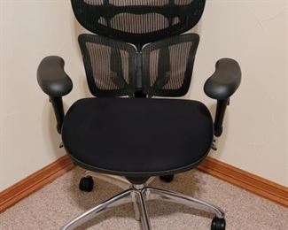 Ergonomic Office Chair in Black
