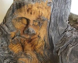 Driftwood Bear, Petrified Wood Southwest Rocks