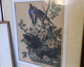 Drawn From Nature Publishing by John Audubon