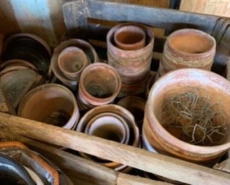 Clay pots 