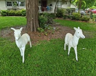 I was told today these are lambs not deer.