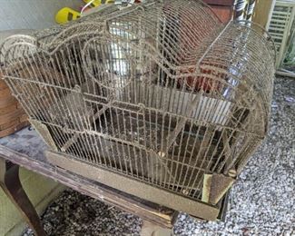 oldest birdcage I ever.