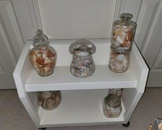 collection of sea shells