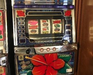 Pioneer Slot Machine