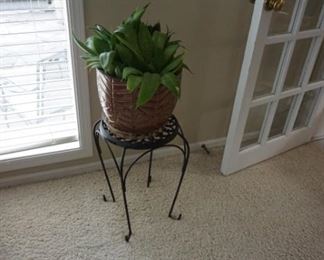 plant
