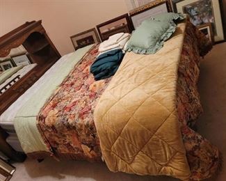 Queen Size Comforter~ Blanket~ 2 Sheet Sets~ Throw Pillows