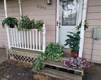 8 Faux Plants