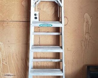 Werner 6 Foot Aluminum Ladder