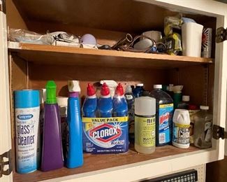Various cleaning supplies 