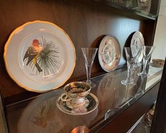 Collector and display plates 