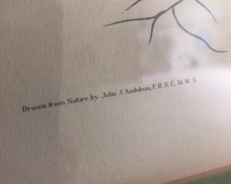 John James Audubon Prints
