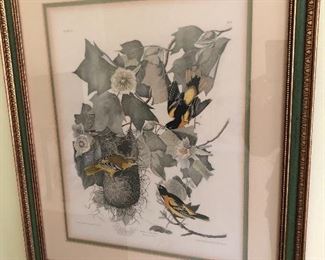 John James Audubon Prints