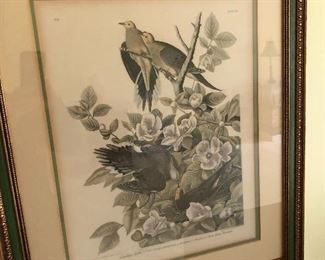 John James Audubon Prints