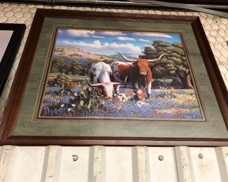 longhorns in bluebonnets