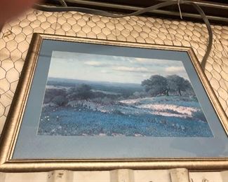 Porfirio Salinas 1965 bluebonnet print