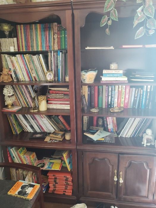 Book Shelves and books