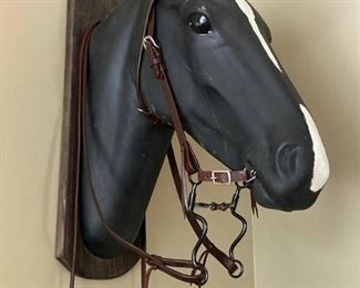 Stately South American Molded Horse Head with Bridle and Bit