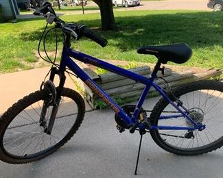 Roadmaster 17 speed bicycle