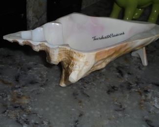 Cut in half sea shell bowl