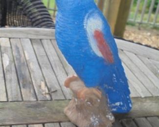 Cast blue parrot