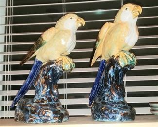 Parrott Pair ... they remind me of a song :-)