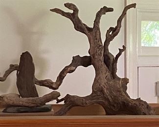 Driftwood