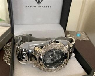 Aqua master skull watch