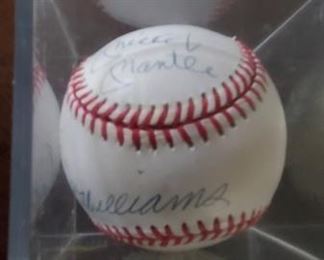 Signed Ted Williams baseballs. Plus other Ted Williams early photographs and memorabilia