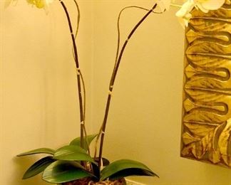 orchids, orchids, orchids (faux)