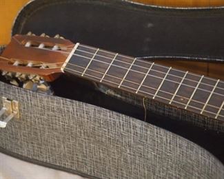 Custom guitar by Harmony S-66-GM Made in the USA