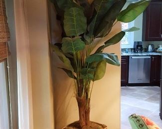 Large Artificial Plant
