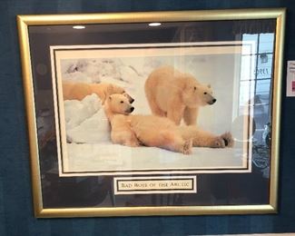 Thomas Mangelsen
“Bad Boys Of the Artic”