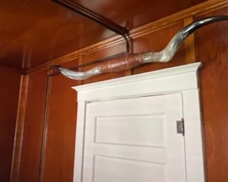 Longhorn Steer Horns