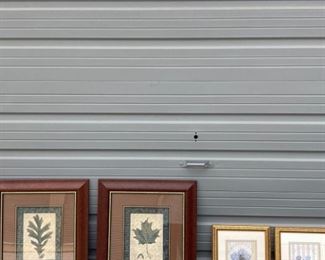 Framed Leaf Prints and Still Lifes