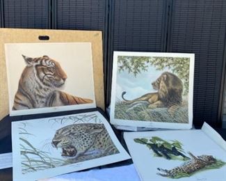 Lions and Tigers Oh My