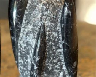 2pc Orthoceras Fossil Set 10.5in H & 8.5in H