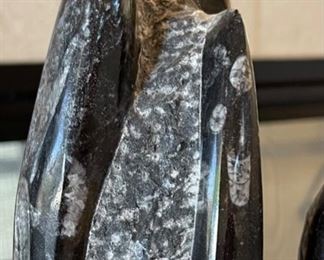 2pc Orthoceras Fossil Set 10.5in H & 8.5in H