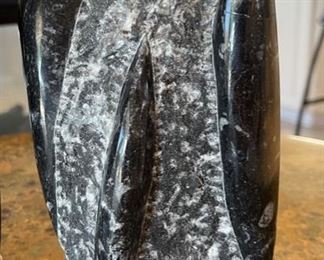 2pc Orthoceras Fossil Set 10.5in H & 8.5in H