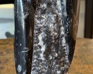 2pc Orthoceras Fossil Set 10.5in H & 8.5in H