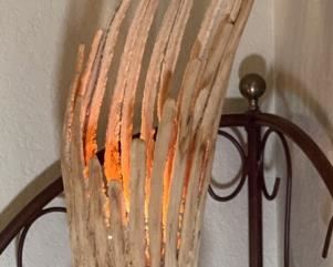 Saguaro Cactus Skeleton Desk Lamp 33x9x6in HxWxD