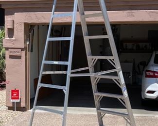 Werner 10ft Aluminum Ladder 310