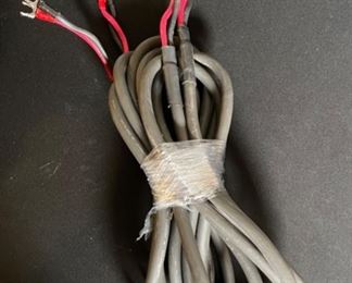 1 pr AudioQuest AudioTruth ARGENT+ Speaker Cables 10ft Spades 126in