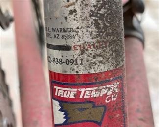 Burley Rock n Roll Tandem Bike