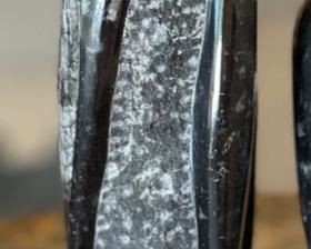 2pc Orthoceras Fossil Set 10.5in H & 8.5in H