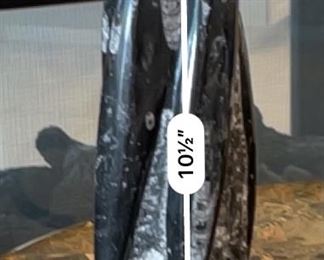 2pc Orthoceras Fossil Set 10.5in H & 8.5in H